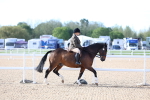 SBM_16803