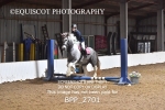 CLASS 0 Clear Round Show Jumping portfolio