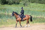 WJ7_7811