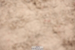 241117X-135746-04925