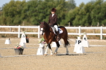 SBM_012785