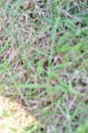 SBM_06008