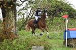 165-Abbie.Rogers-COLLIE.MOR.CHESTER portfolio