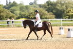 SBM_007481
