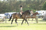 SBM_10215