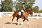 SBM_01658
