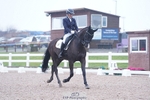 150-Louise.Hutchinson-Kingstone-W portfolio