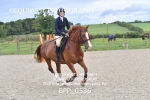 BPP_0536