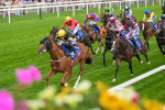 Race 4 3.20pm Sky Bet 'Jump Jockeys' Nunthorpe' Handicap portfolio