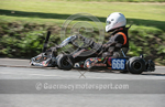 Hillclimb_08-08-2015_KART-62
