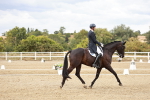 SBM_006772