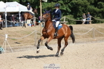 Friday 21st Western Counties Arena portfolio