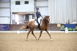 SBM_004351