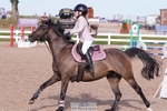 Cls 34 Springboard 128cm and 138cm portfolio