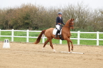 SBM_006625