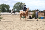 SBM_17379