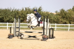 SBM_002331