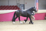 SBM_00538