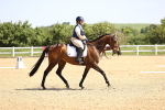 SBM_008192