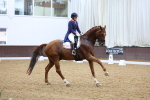 SBM_008831