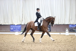 SBM_016243