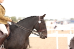 SBM_16464