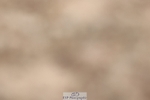 250622-093921-13567