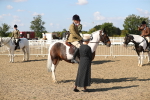SBM_03234
