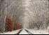 Morton Lane in Snow