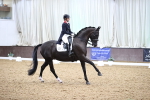 SBM_010278