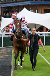 040726-Race 6-Highland Olly-5394