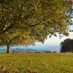 Cornwall - Towns and Countryside portfolio