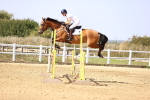 SBM_006785