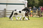 SBM_16051