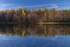 Reflections