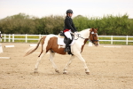 SBM_006887