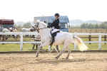 SBM_03508