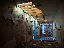 Tome School (Port Deposit, MD) | Lacerated Ceiling