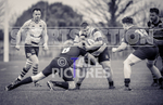 St Jacques Vikings v Andover RFC-24