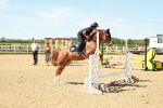 SBM_005446