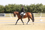 SBM_003380