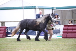 SBM_09795