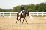 Class 14 - Novice 23 - 15.16-16.19 portfolio