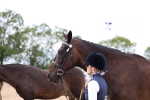 SBM_05769