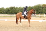SBM_005949