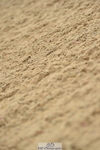 230720A-153204-03517