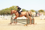 SBM_003992
