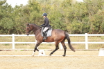 SBM_003693