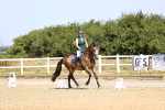 SBM_009481