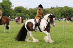 SIAL3270